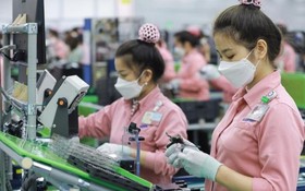 越南企業生產資訊技術產品。