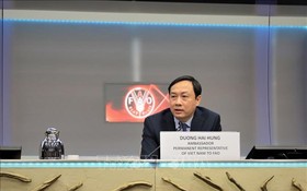 越南常駐世界糧食計劃署代表楊海興大使。（圖：越通社）