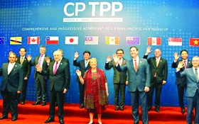今年３月在智利簽署TPP11的11個成員國代表合影。
