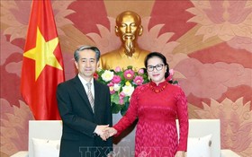 國會主席阮氏金銀昨(4)日上午在國會大廈接見了中國駐越南特命全權大使熊波。