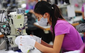 RCEP協定生效為紡織業帶來實惠。
