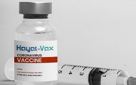 Hayat-Vax 疫苗