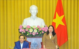 國家副主席、越南兒童輔助基金會輔助委員會主席武氏映春
