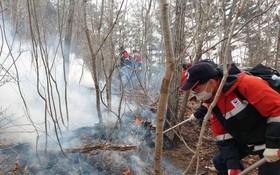 　　消防人員在蔚珍郡金剛松生態群落進行撲滅。