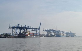 市交通運輸廳表示，本市落實海港基礎 設施收費決定比其他地方遲。