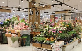 2021年，越南的花卉出口額已達6180萬美元