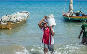 可持續漁業正在改善海地的生計。