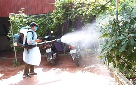 防病措施仍是通過撲滅蚊子、孑孓方法而終止疾病傳播鏈。