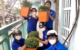 第三坊青年為舊公寓擺設盆栽綠化。
