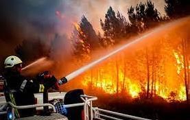 消防員正在全力應對森林火災發生。圖源：互聯網
