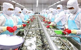 越南打造成全球10大水產品加工中心的目標。