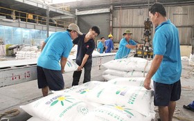 越南再對５國課徵蔗糖稅