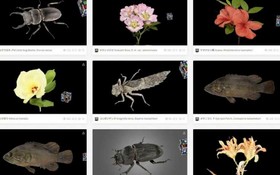 日公開千種3D數字生物標本