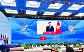 越南政府常務副總理范平明以預錄視頻方式在開幕式上發表講話。