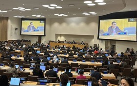 越南常駐聯合國代表團團長鄧黃江大使在會上發表講話。（圖：越通社）