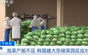 泡菜產能不足，韓國建大型儲菜園區應對。（圖：視頻截圖）