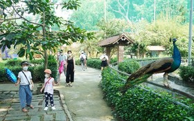 西貢動物園重新開放首天吸引不少遊客前來參觀。
