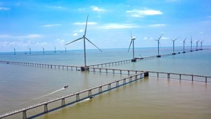 US$219 million offshore wind power plant put into operation in Tra Vinh