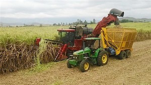 Vietnamese sugar failing to compete on home ground