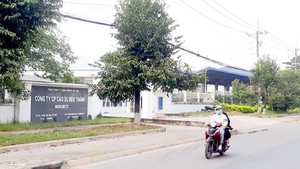 Industrial activities in HCMC facing challenges