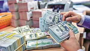 Remittances to HCMC total US$6.6 billion last year
