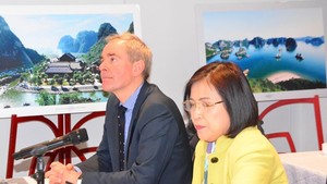 Vietnamese, int'l experts in Switz share experience in digital transformation