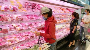 Pork price in Mekong Delta region surges