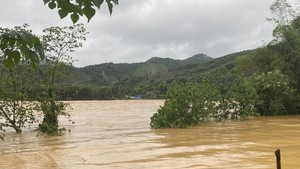 Parts of Ha Tinh Province submerged, isolated due to intense rains