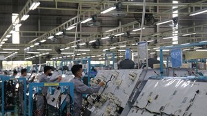 Quang Nam has 999 newly registered enterprises in first nine months