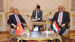 NA Vice Chairman pays working visit to Egypt