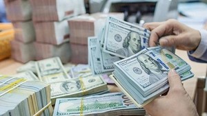 US dollar exchange rate drops below VND25,000 on free market