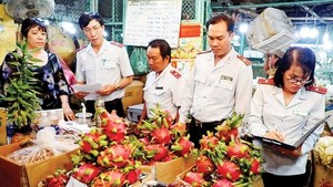 Checking the task of food safety maintenance at Thu Duc Wholesale Market. (Photo: SGGP)