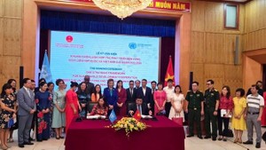The strategic framework signing ceremony in Hanoi on August 11 (Photo: Ministry of Planning and Investment)