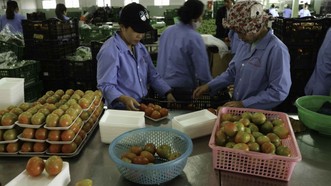 Hơn 800 sản phẩm nông nghiệp Lâm Đồng lên sàn thương mại điện tử