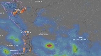 Dự báo từ ngày 9 đến 11-7, sẽ hình thành một vùng áp thấp ở vùng biển từ Bình Thuận đến Cà Mau, vùng biển giữa và Nam Biển Đông (bao gồm quần đảo Trường Sa). Ảnh: vndms