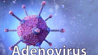 Adenovirus là tác nhân virus thường gây nên tình trạng viêm ở hệ thống hô hấp 