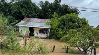 Mưa lớn gây ngập 50 căn nhà và hơn 1.000ha ở Đắk Lắk