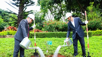 Gia Lai tiếp nhận 24 cây hoa anh đào do Nhật Bản trao tặng