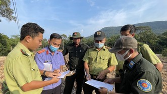 Kiên Giang: Lập tổ công tác đặc biệt để giữ rừng Phú Quốc