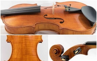 純素小提琴索價 8000 英鎊