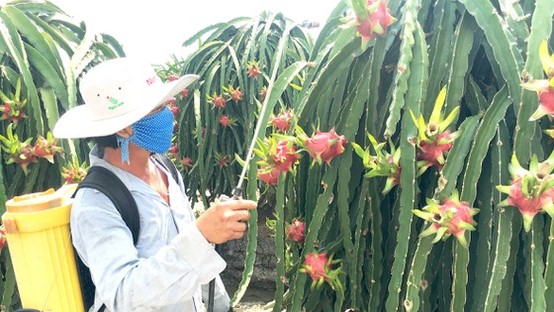 Solutions needed for agricultural products to no longer call for rescue