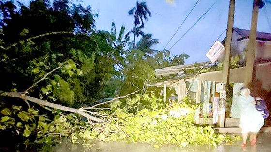 Storm Dianmu downgrades to low-pressure zone as of September 24 morning