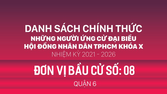 Đơn vị bầu cử số: 08 (quận 6)