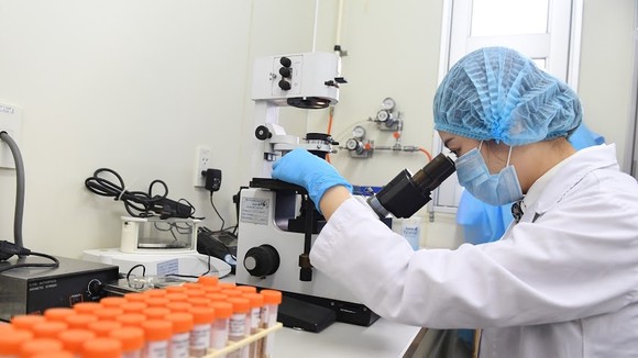 Nghiên cứu thí nghiệm virus SARS-CoV-2 tại Trung tâm Cúm Quốc gia - Viện vệ sinh dịch tễ Trung ương. Ảnh: QUANG PHÚC