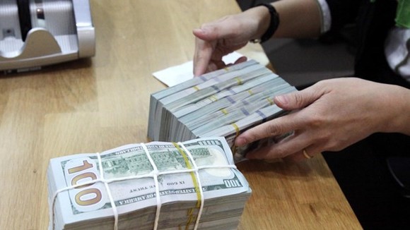 The State Bank of Vietnam set the daily reference exchange rate at VND 23,125 per US$ on February 22. (Photo: VNA)