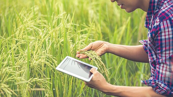 Không còn chân lấm tay bùn khi khởi nghiệp bằng nông nghiệp