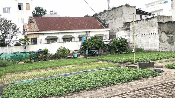Chủ thửa đất đã rào chắn để trồng rau
