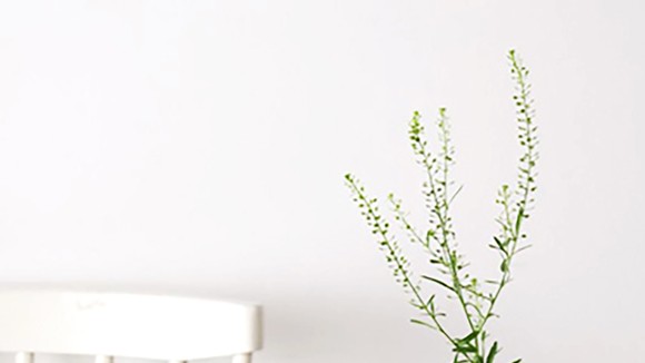 Sản phẩm sữa 3 Con Dê mang đến nguồn dinh dưỡng tốt nhất cho người tiêu dùng