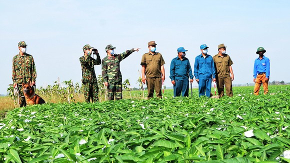 Lực lượng chức năng ở An Giang tăng cường tuần tra biên giới, quyết giữ “vùng xanh” an toàn