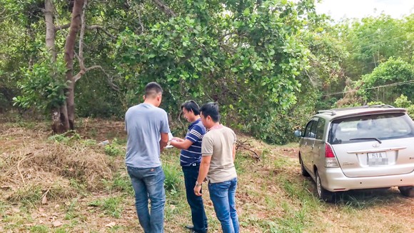 Ảnh chỉ mang tính chất minh họa.